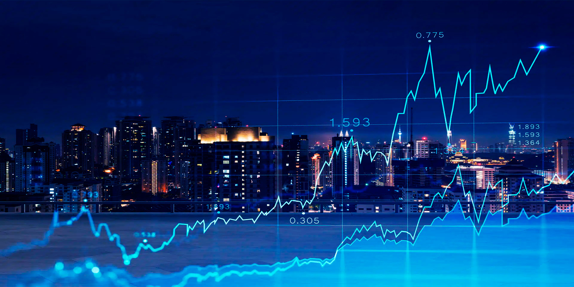 Economic and market fluctuations